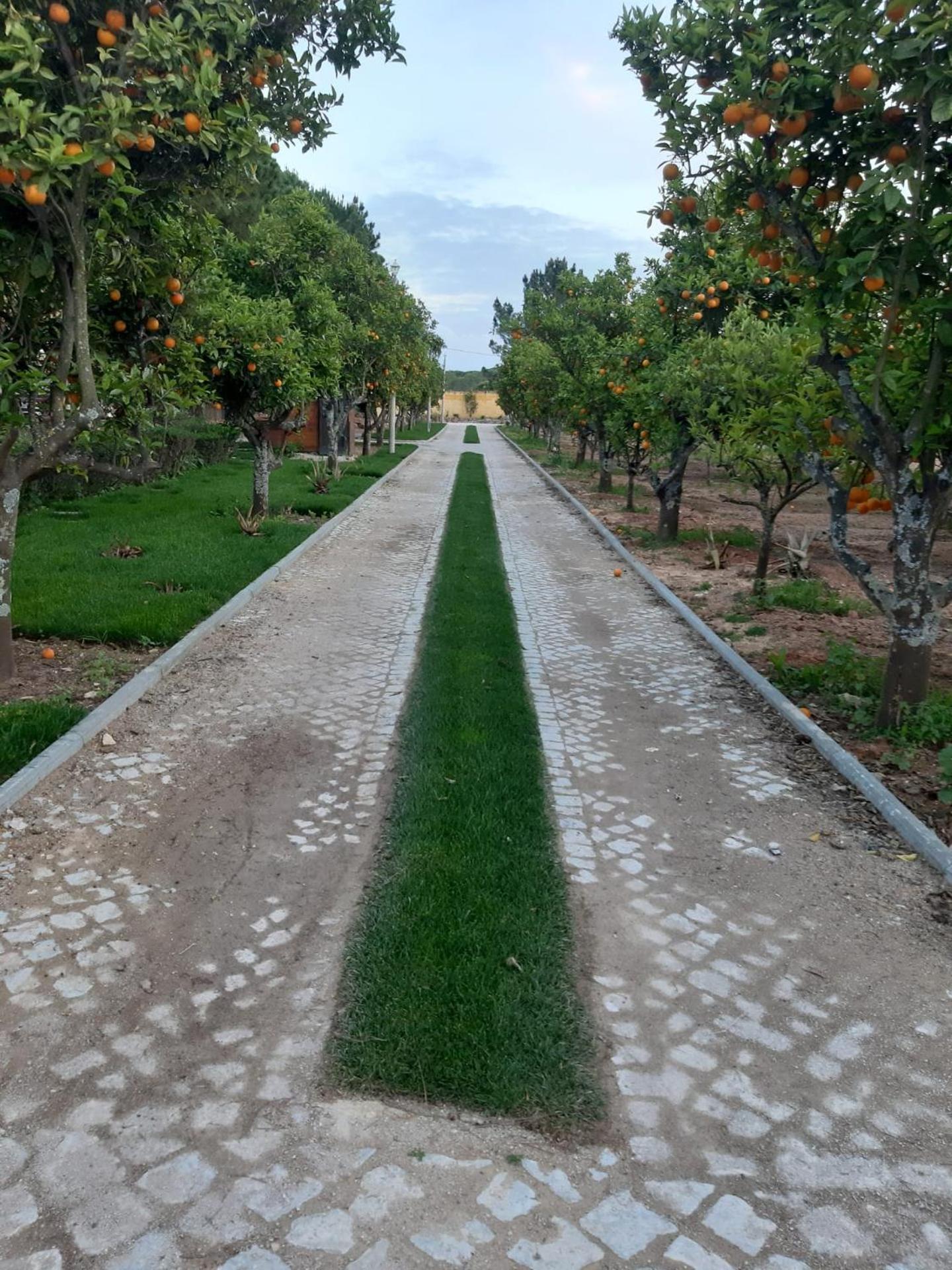 Quinta Vita - Vila Uva Almancil Exterior foto